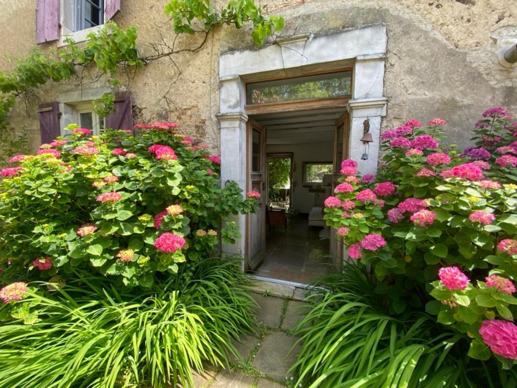 Maison D'Hotes-Maison Castaings Lucq-de-Béarn Exteriér fotografie